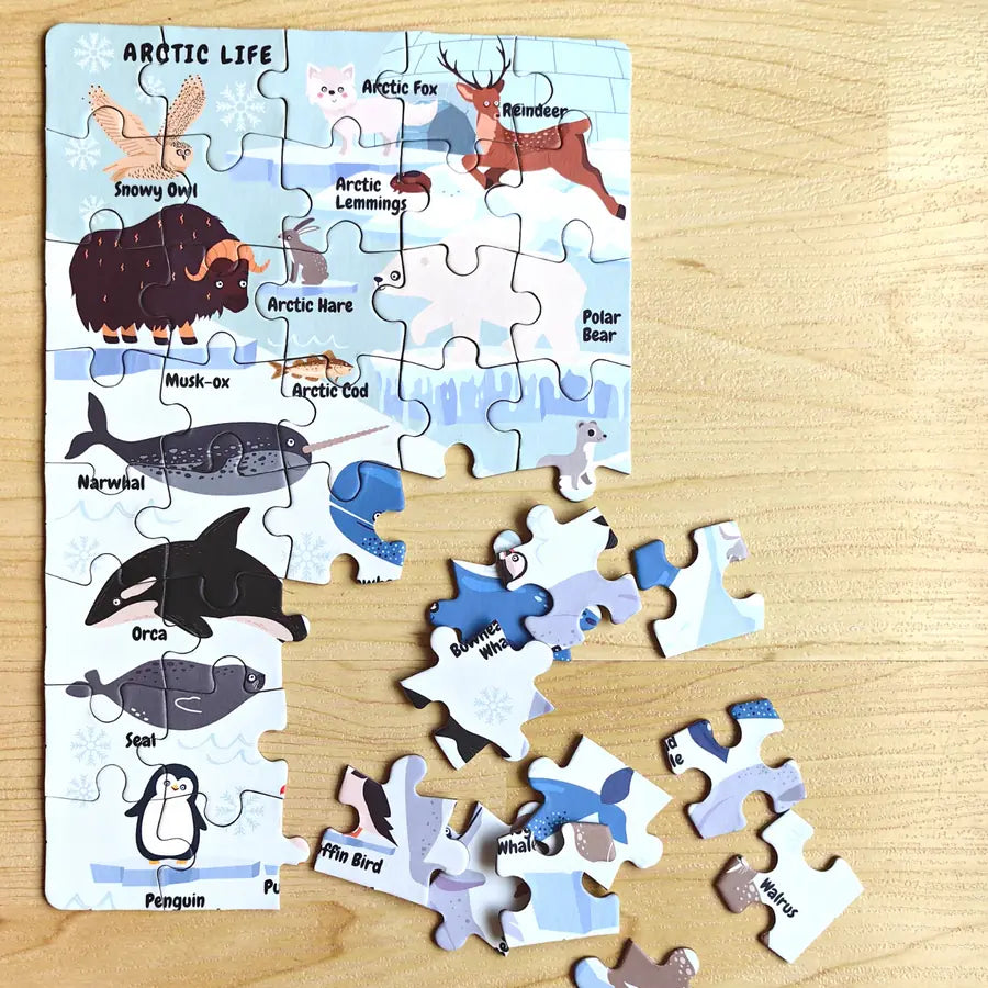 ARCTIC LIFE MINI PUZZLE