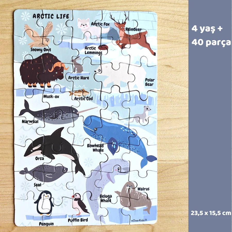 ARCTIC LIFE MINI PUZZLE